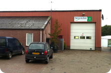 Veredelde laanboomspillen in de tunnel